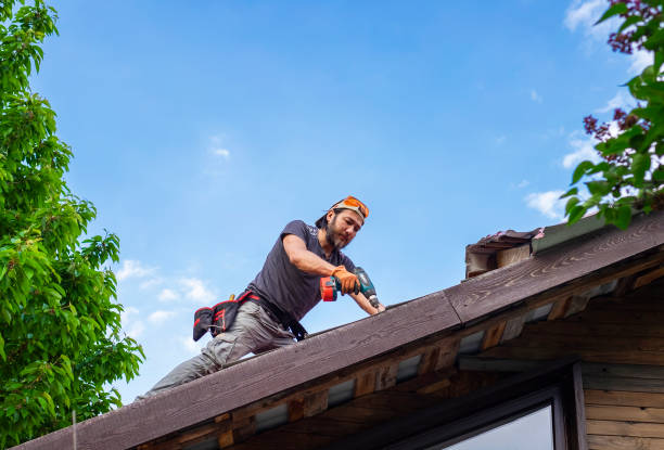 Best Wood Shake Roofing  in Holly, MI