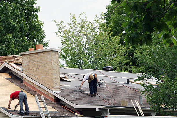 Best Tile Roofing Installation  in Holly, MI