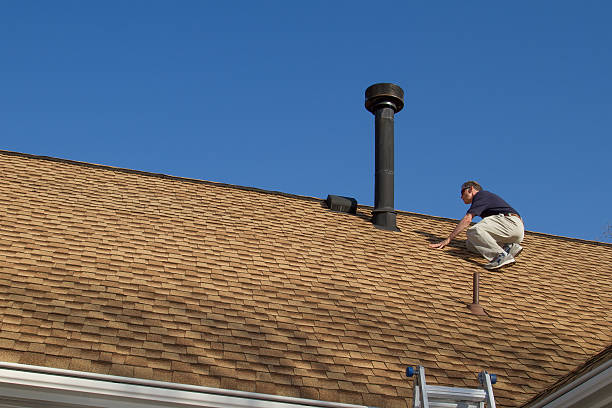 Best Roof Leak Repair  in Holly, MI